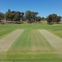 Cricket Pitch Preparation and Oval Turf Maintenance