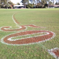 Oval Linemarking Services